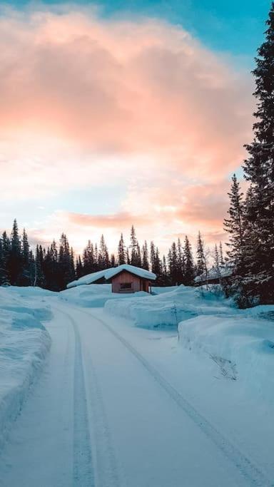 Cozy Mountain Cottage With Beautiful Views & Sauna Beitostolen Exterior photo